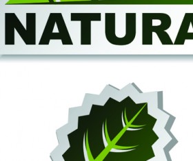 Set of Natural elements stickers vector graphic 04