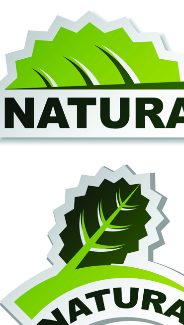 Set of Natural elements stickers vector graphic 04