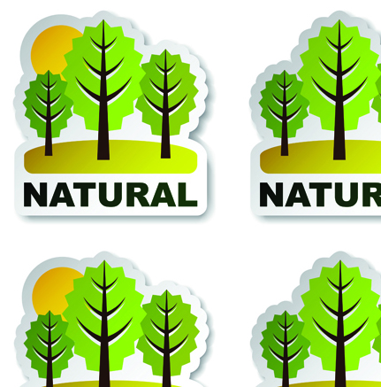 Set of Natural elements stickers vector graphic 05