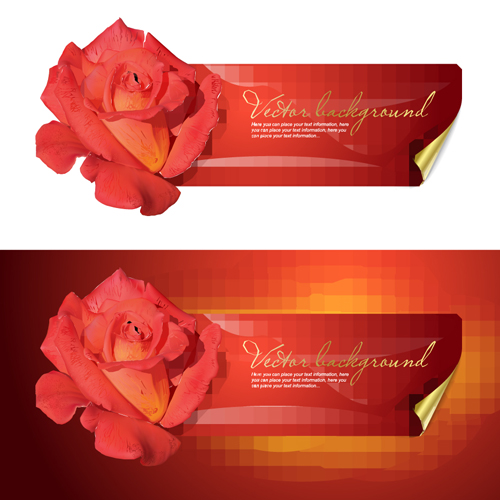 Bright Rose background vector 05