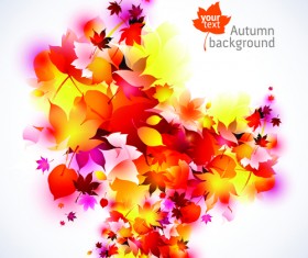 Set of Abstract Autumn Leave design elements vector 01