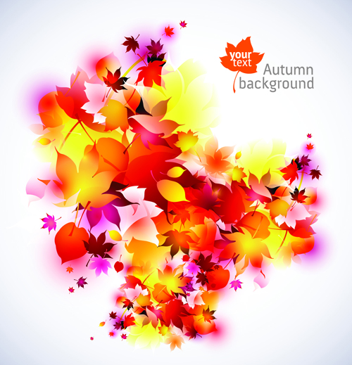 Set of Abstract Autumn Leave design elements vector 01