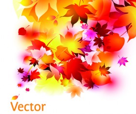 Set of Abstract Autumn Leave design elements vector 02