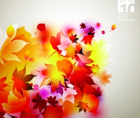 Set of Abstract Autumn Leave design elements vector 03
