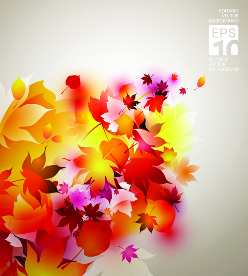 Set of Abstract Autumn Leave design elements vector 03