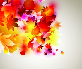 Set of Abstract Autumn Leave design elements vector 04