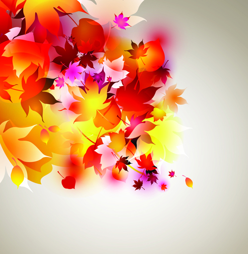 Set of Abstract Autumn Leave design elements vector 04