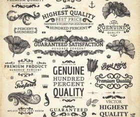 Vintage label and Ornaments design vector set 02