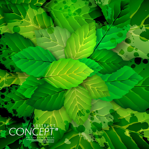 Green leaves concept background elements vector 01