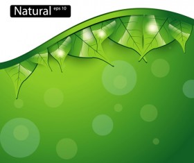 Shiny Green leaves background design vector 03