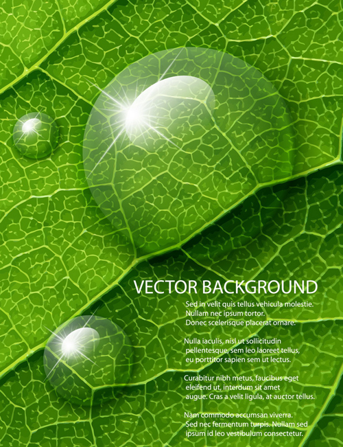 Shiny Green leaves background design vector 04