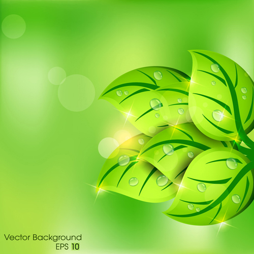 Shiny Green leaves background design vector 05