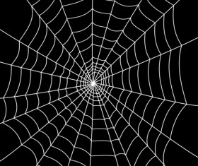 Set of Spider web vector background 02