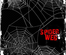 Set of Spider web vector background 05