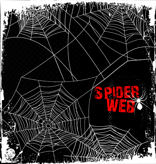 Set of Spider web vector background 05