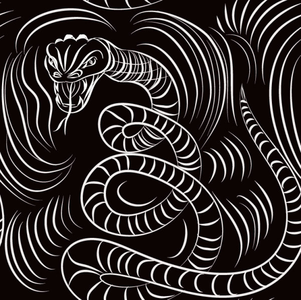 Set of Snake texture pattern vector 06