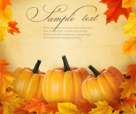 Autumn pumpkin with Wood Board background vector 02