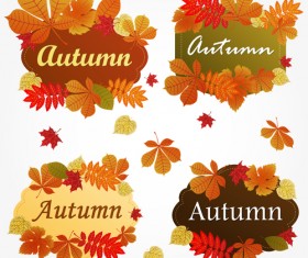 Different Autumn leaves frames vector set