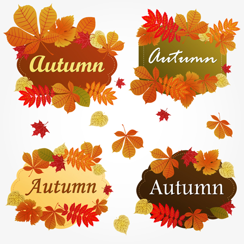 Different Autumn leaves frames vector set