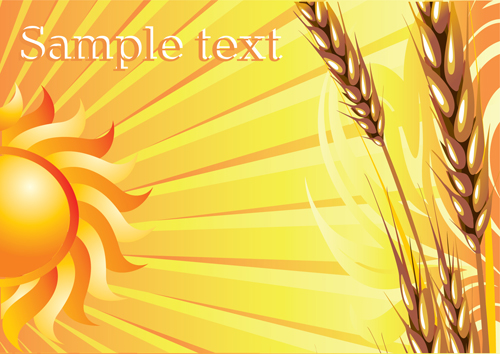 Golden Wheat vector background set 03