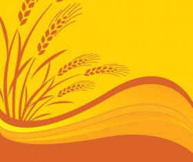 Golden Wheat vector background set 06
