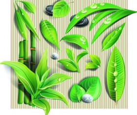 Set of Different Spa design elements vector art 01