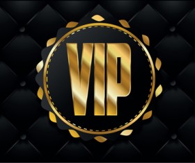 Set of Senior VIP cards design vector 04
