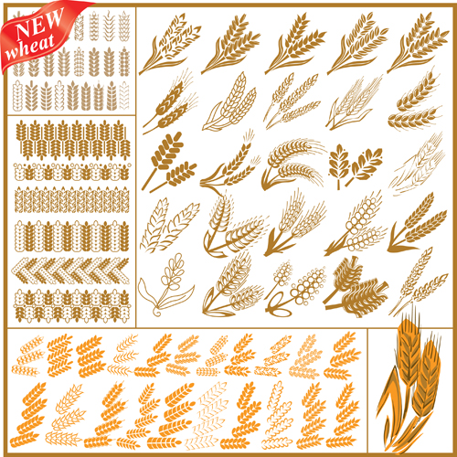 Set of Wheat patterns mix vector 04