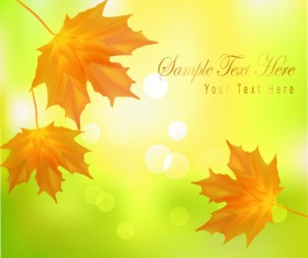 Yellow Autumn Leaves vector backgrounds set 01