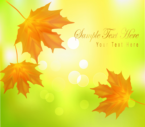 Yellow Autumn Leaves vector backgrounds set 01