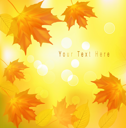 Yellow Autumn Leaves vector backgrounds set 02