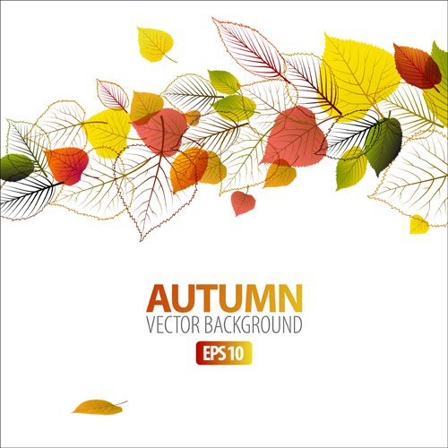 Set of charm Autumn  backgrounds vector 04