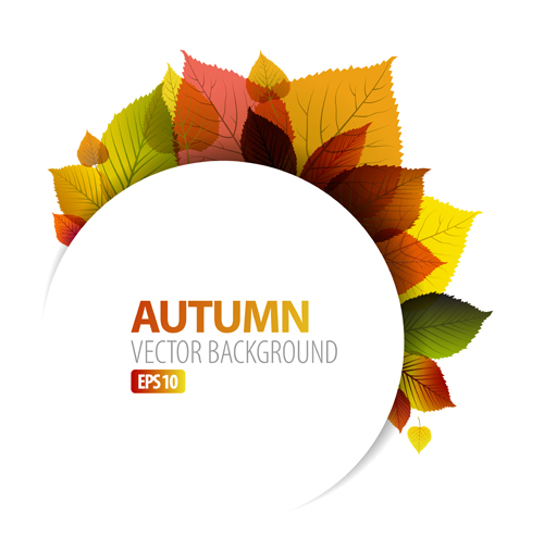 Set of charm Autumn  backgrounds vector 05
