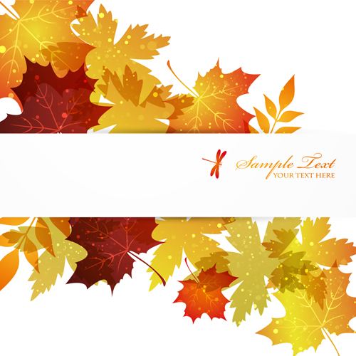 Autumn Beautiful leaves theme background vector 01