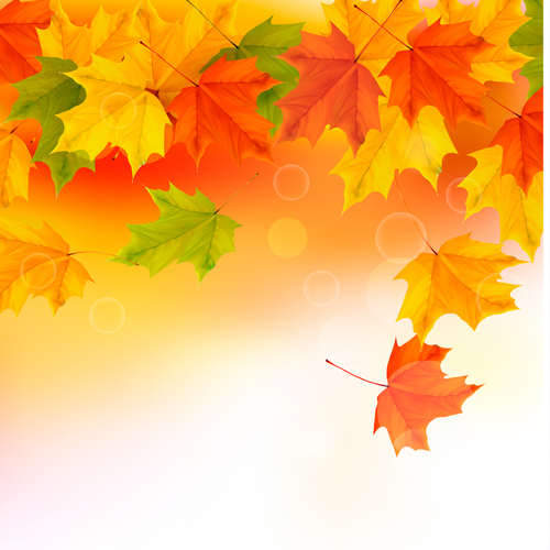 Shiny autumn vector background art 02