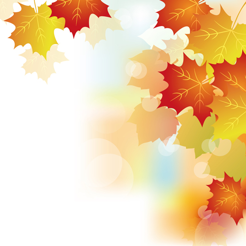Autumn Beautiful leaves theme background vector 02