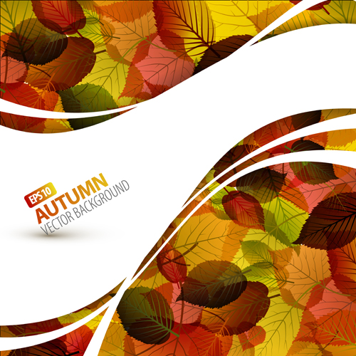 Autumn Beautiful leaves theme background vector 03