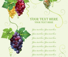 Retro style grape wine background vector 02