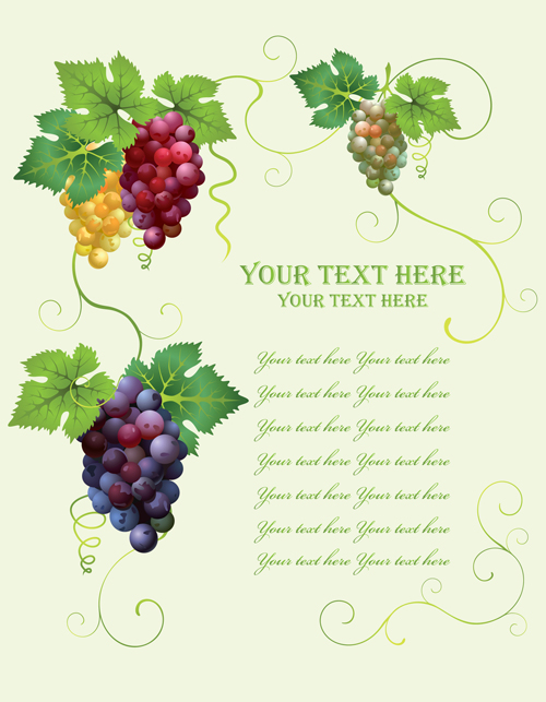 Retro style grape wine background vector 02
