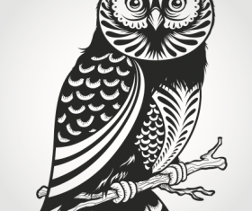 Owl design vector material