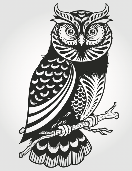 Owl design vector material
