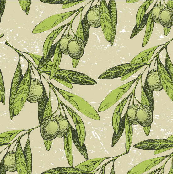 Olive Branches elements vector graphic