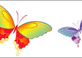 Colorful Butterfly elements vector