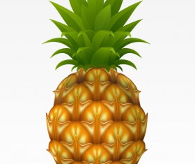 Pineapple design elements vector graphic 01