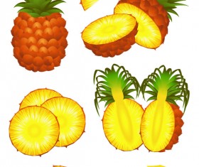 Pineapple design elements vector graphic 02