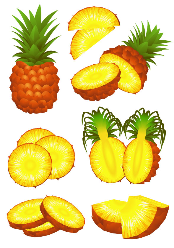 Pineapple design elements vector graphic 02