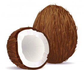 Coconut design elements vector graphic 02