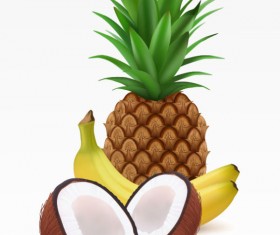 Coconut, pineapple and banana vector material