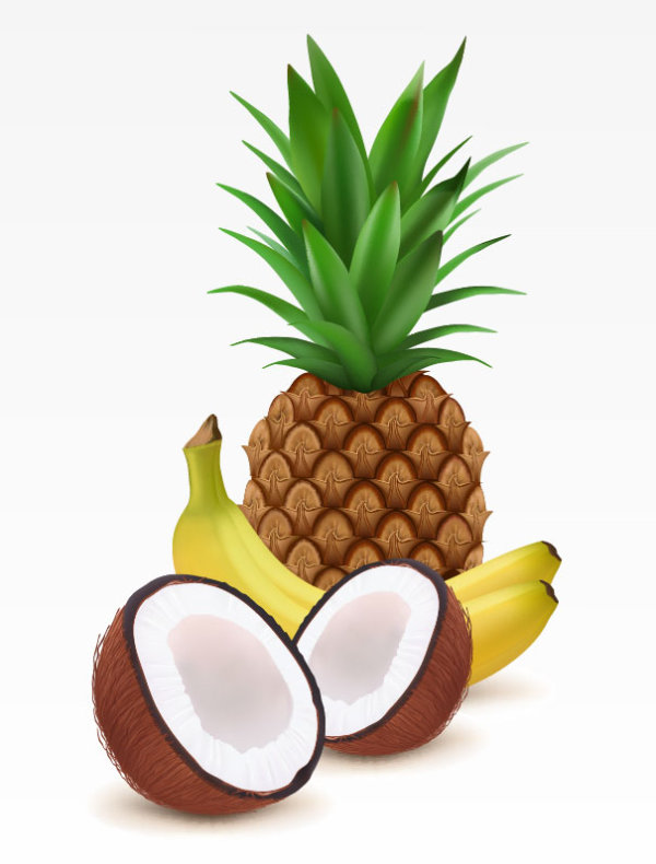 Coconut, pineapple and banana vector material
