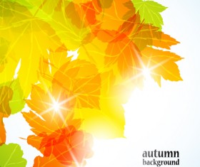 Autumn theme backgrounds art vector 01